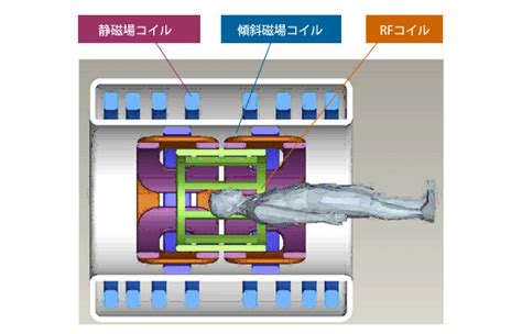 環境磁場|磁場の生体影響研究の必要性｜国環研ニュース 9巻｜国立環境研 